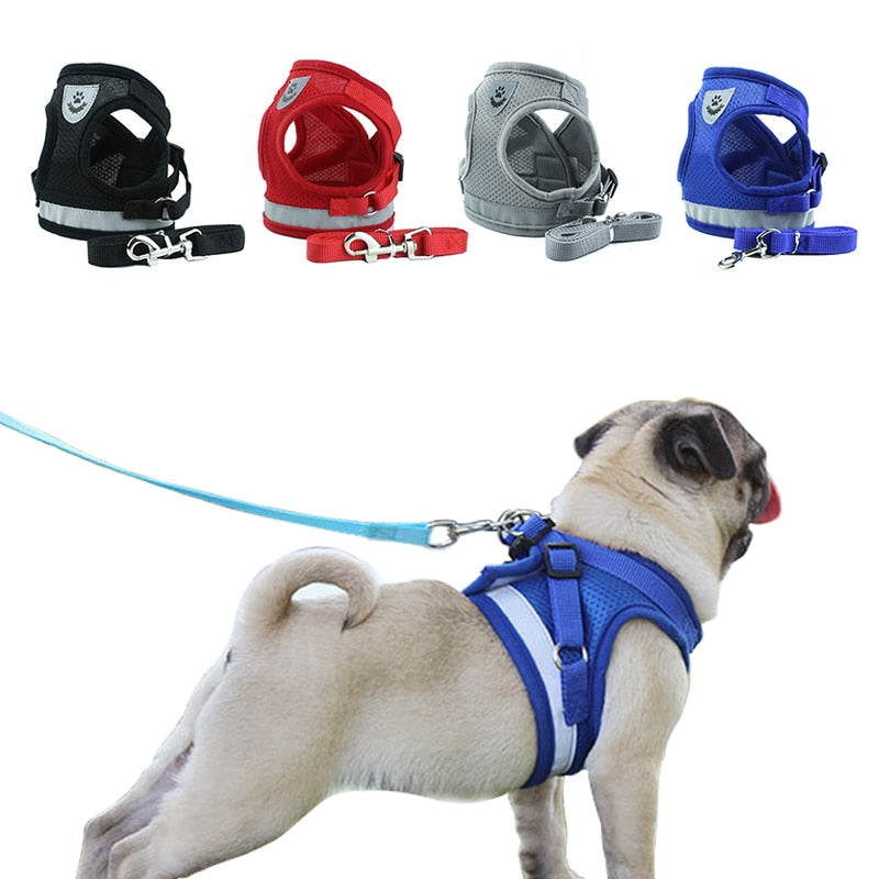 Adjustable No-Choke Dog Harness